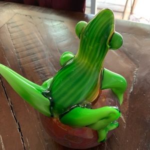 Beautiful glass frog
